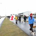IMG 7776