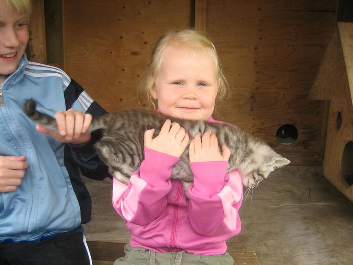 img 1499.jpg