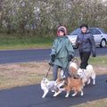 IMG 9210