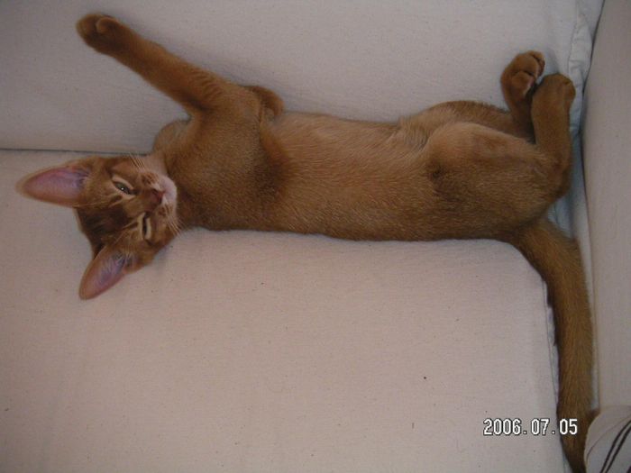 sleepy head..