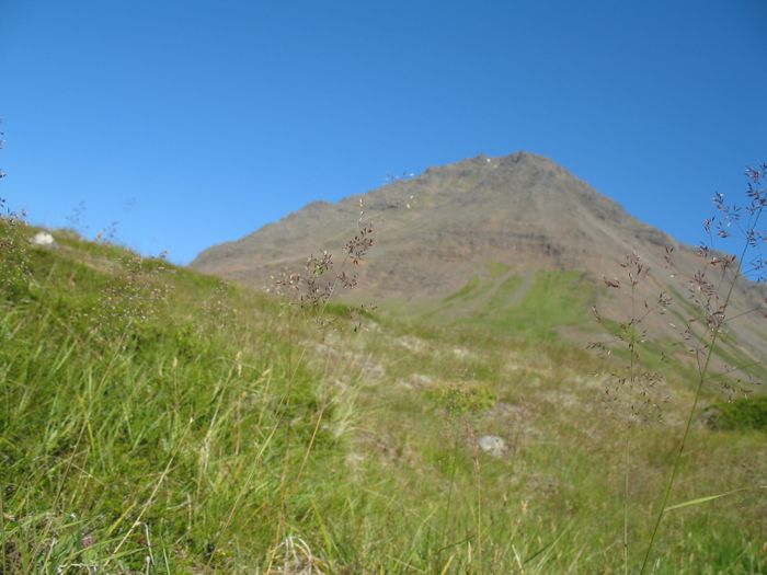 IMG 3729