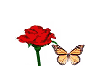 speech-butterfly