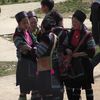 Sapa1 005