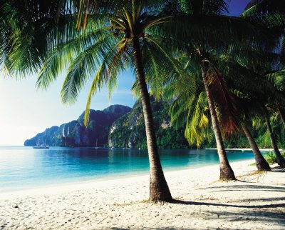Tonsai Beach Phi Phi Islands Thailand
