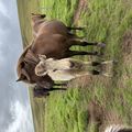 img 0592