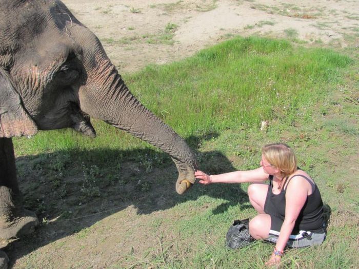 Chitwan National Park 002