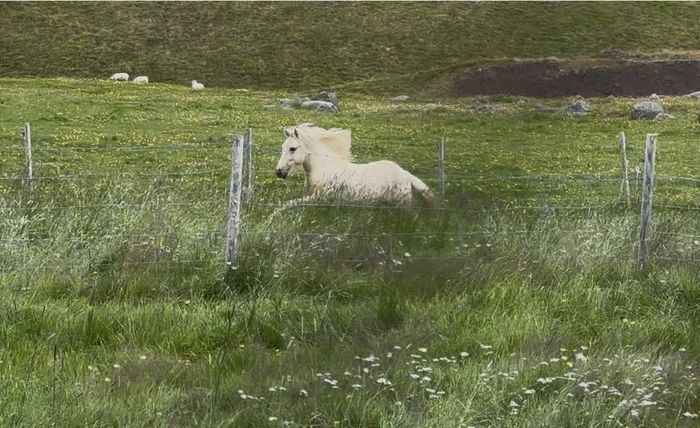 img 0964