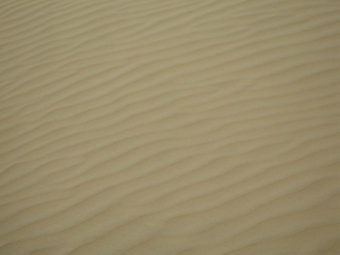 Sandoldur