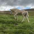 img 0412 1455183