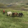 img 0956
