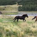 img 0886