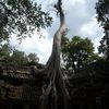 siam reap2 057