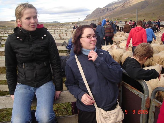 Skvurnar einhva smeykar a fara inn rttina sinst mr :p