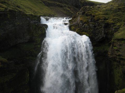 IMG 0829