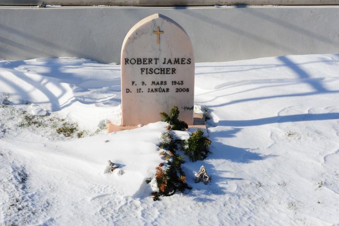 Fischer grave 2536