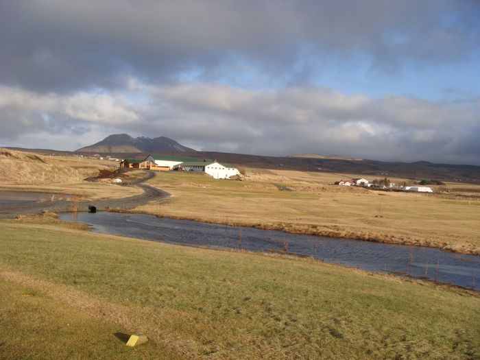 DSC02498