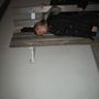 img 1090.jpg
