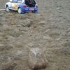 Rally