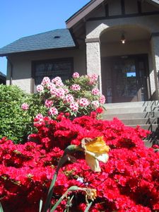 img_5848.jpg