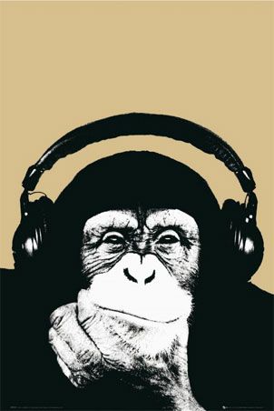 lgst4155+monkey with headphones steez poster