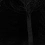 Darkness Visits