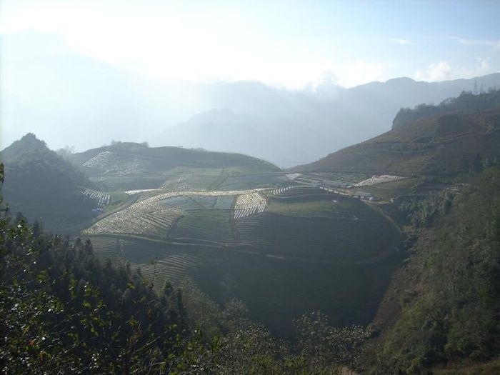 sapa2 024