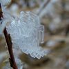 Frostkristallar