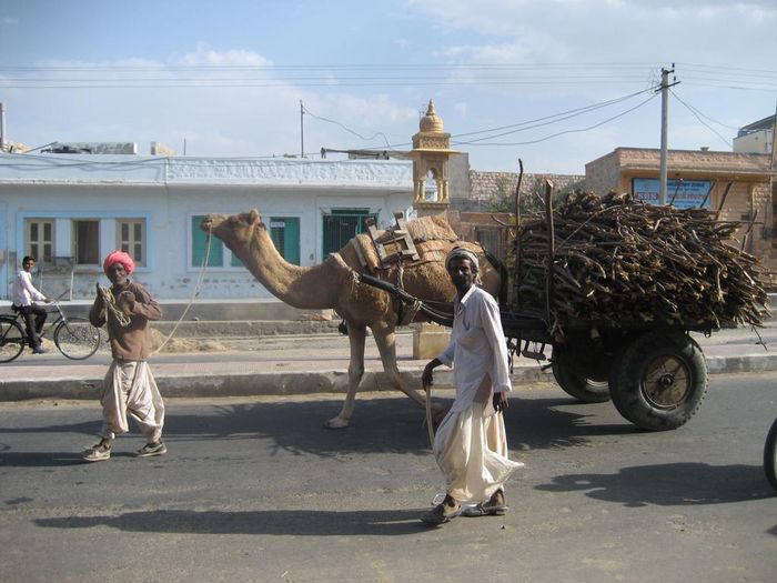 A gotum Barmer...1