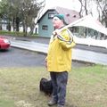 IMG 7784