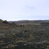 IMG 5935