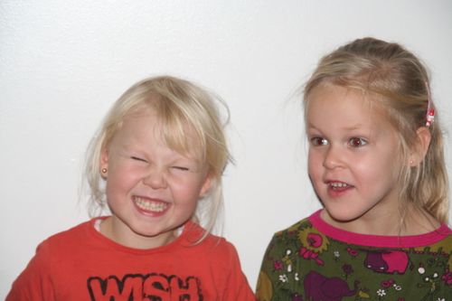 IMG 0277