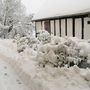 Í garðinum á Sct Mogensgade