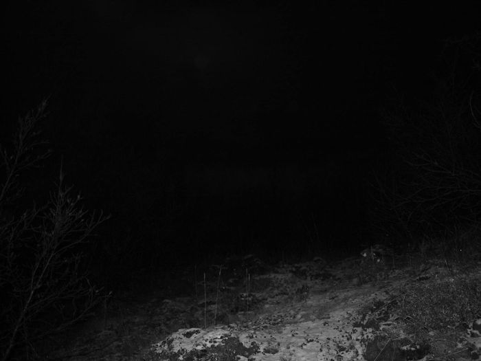 silent hill