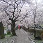 The Philosophi street í Kyoto