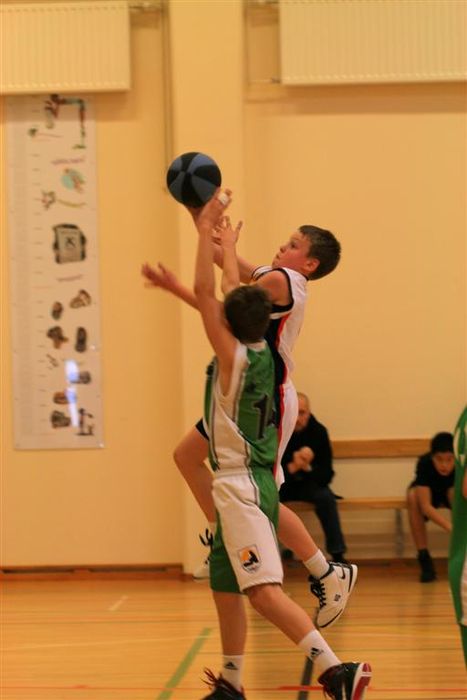 IMG 4845 (Large)