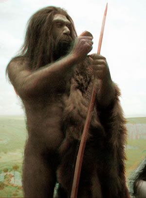 Neanderthal 2D
