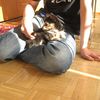 IMG 4433