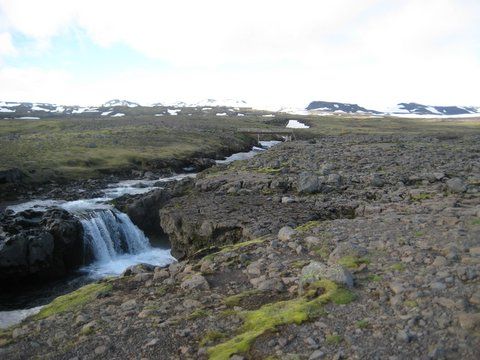 IMG 0835