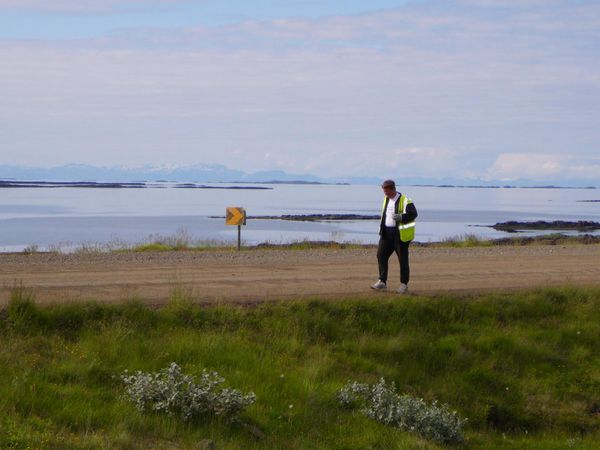 Strandvegagagngumaurinn