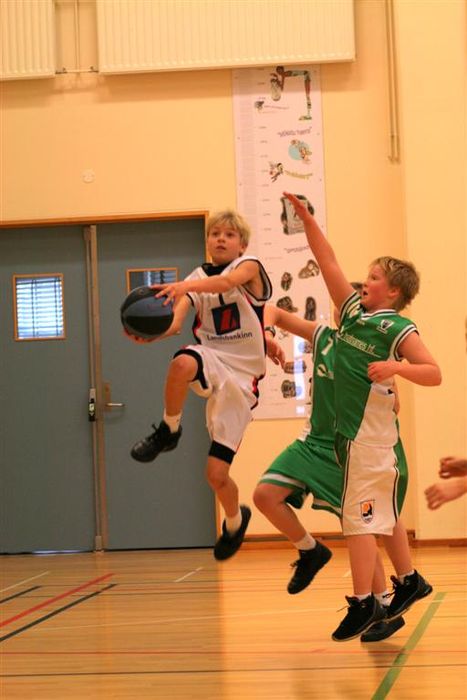 IMG 4874 (Large)