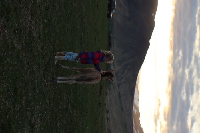 img 1048 1380365