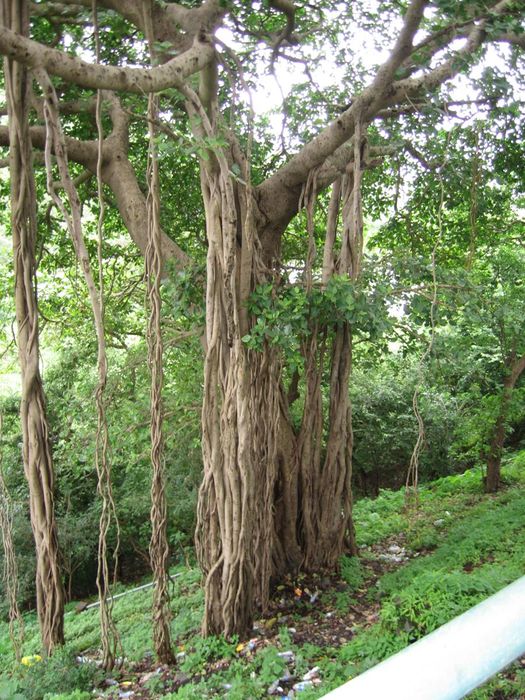 img 1691.jpg