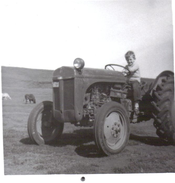 TRAKTORINN  HRREKSLK 1972