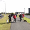 IMG 8798
