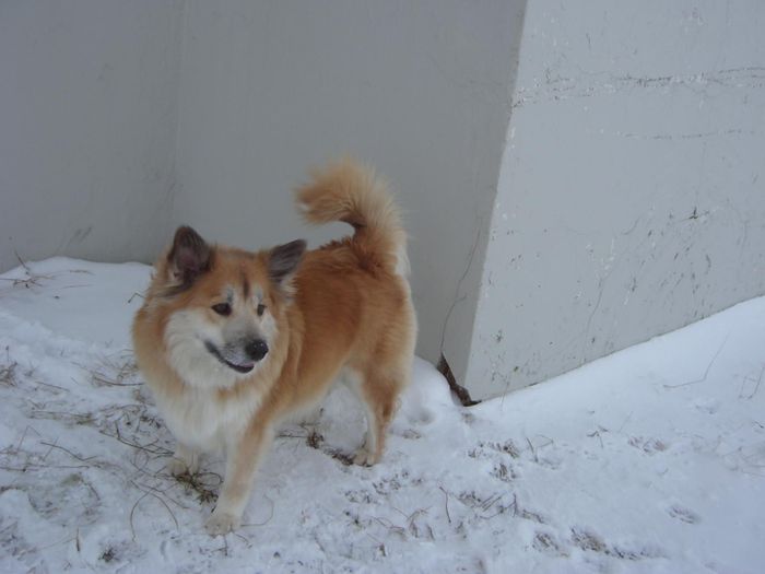 jan 2007 009.jpg