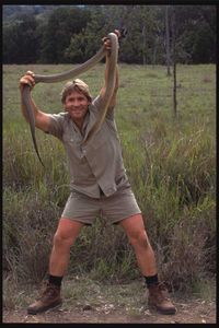 Steve Irwin