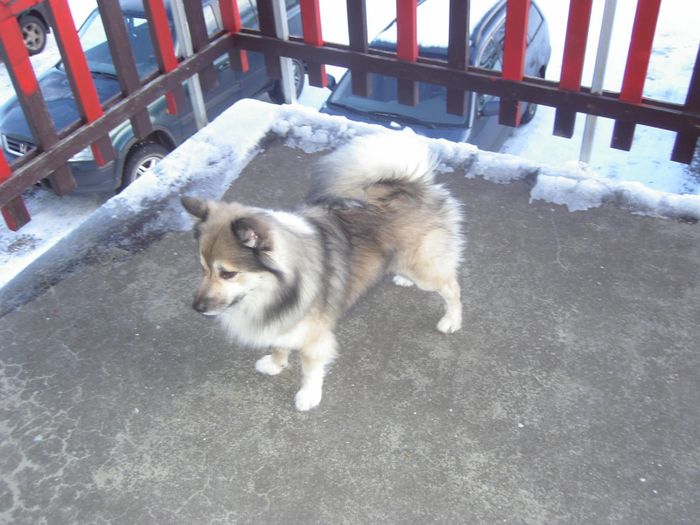 feb 2007 010.jpg