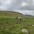 img 0633