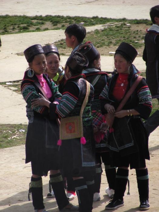 Sapa1 005
