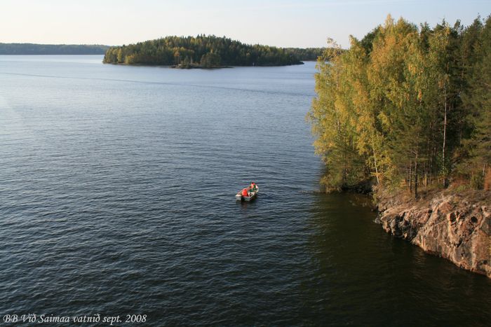 Haust vi Saimaa vatni 2008 (6)